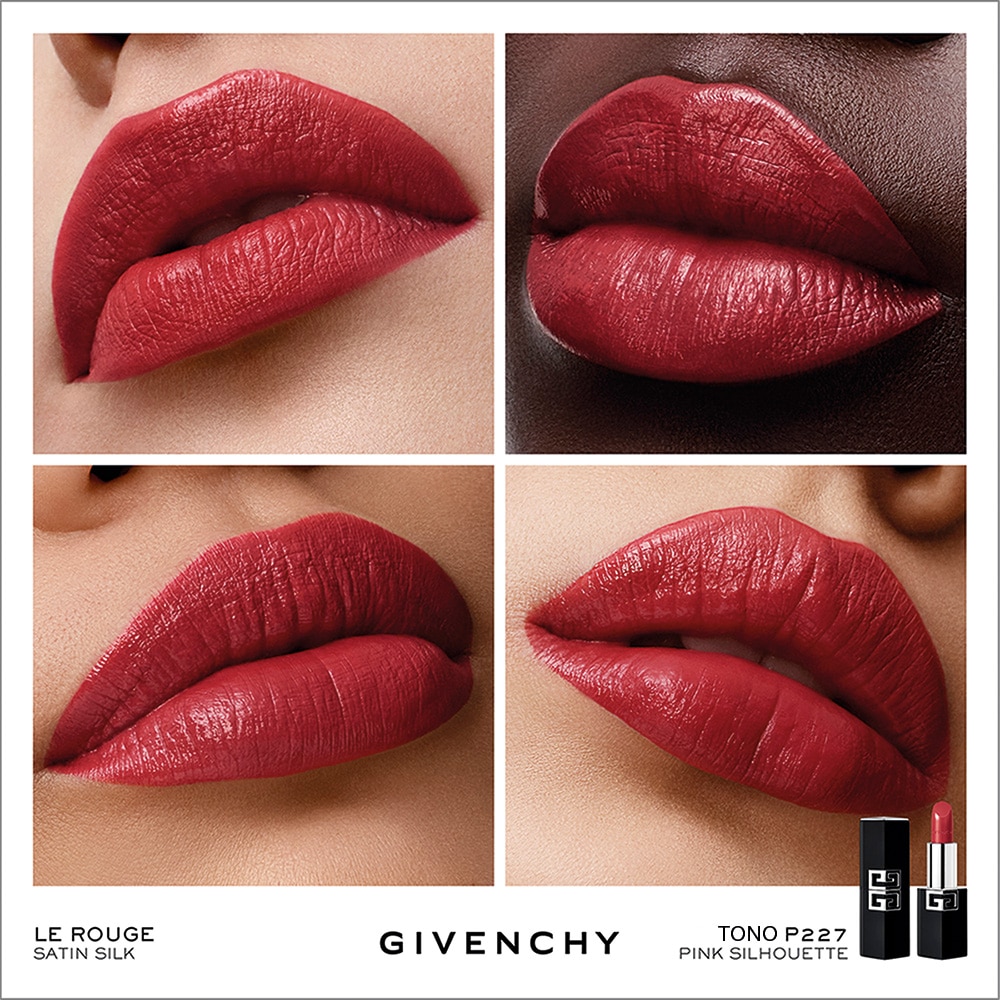 LE ROUGE SATIN SILK (LABIAL DE ALTA DEFINICI&Oacute;N)